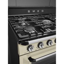 Smeg TR90P2 Cooker with Gas Hob Victoria Aesthetic