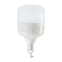 Rechargable Bulb 20W White
