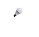 DuraGreen 12W LED Bulb PH12-B2-WWH